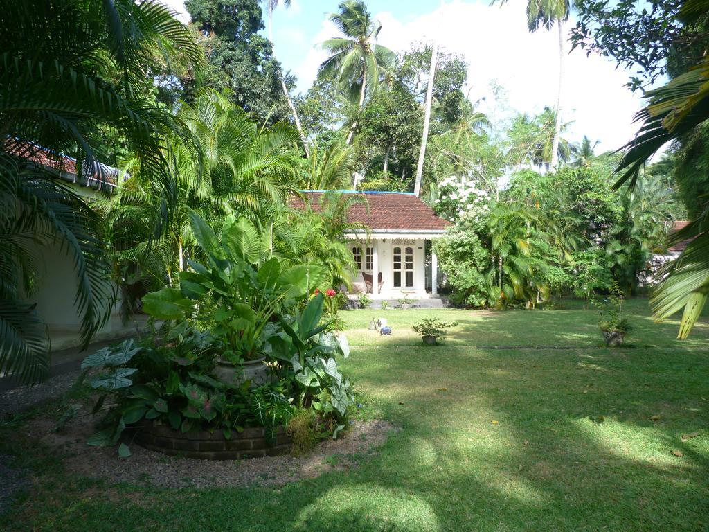 Fire Dragon Hideaway Hotel Negombo Exterior photo